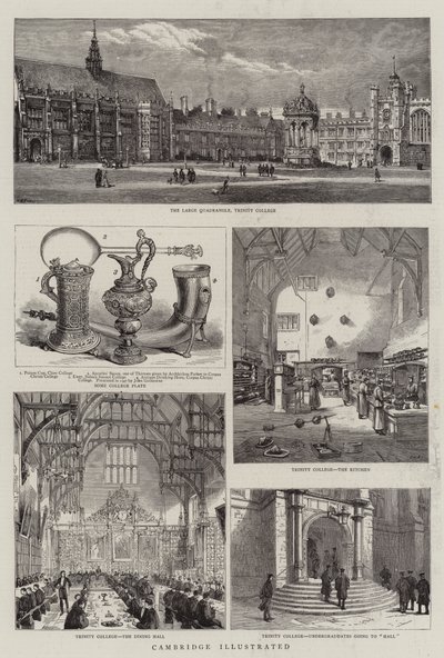 Cambridge Ilustrado de Henry William Brewer